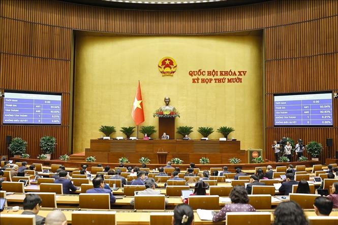 A view of the voting session. VNA Photo: Doãn Tấn