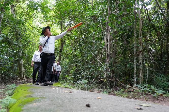 Visitors explore and learn about Lo Go - Xa Mat Forest. VNA Photo: Giang Phương 