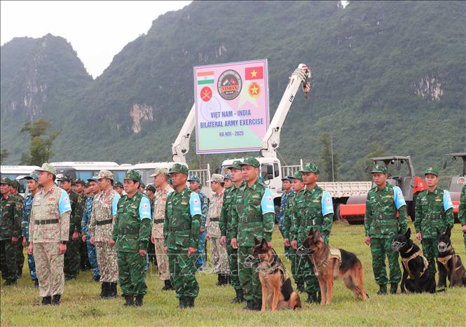 Các sĩ quan, quân nhân Việt Nam tham gia diễn tập. Ảnh: Trọng Đức - TTXVN