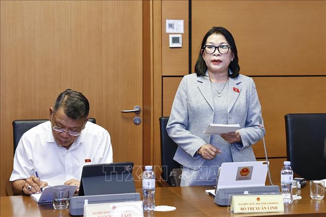 Đại biểu Quốc hội tỉnh Lâm Đồng Bố Thị Xuân Linh phát biểu. Ảnh: Doãn Tấn - TTXVN