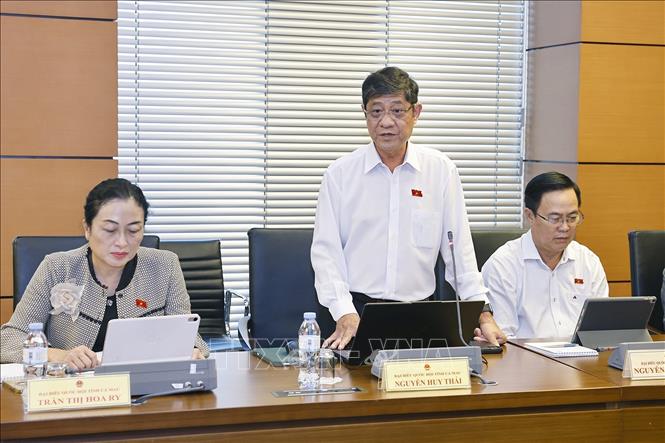 Đại biểu Quốc hội tỉnh Cà Mau Nguyễn Huy Thái phát biểu. Ảnh: Doãn Tấn - TTXVN