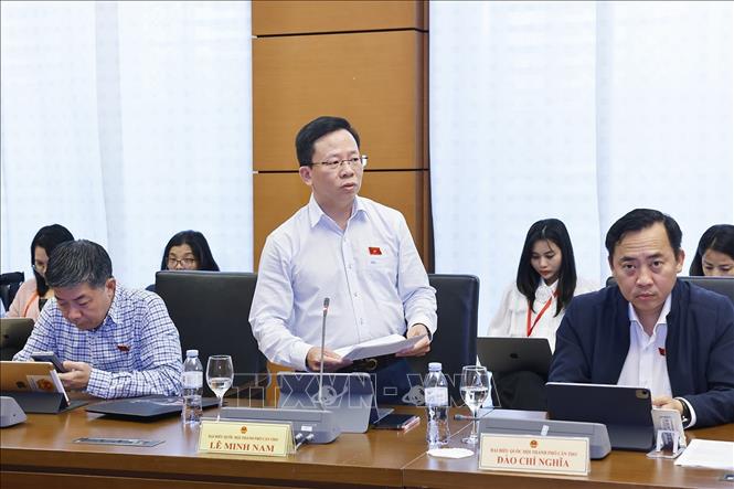 Đại biểu Quốc hội TP Cần Thơ Lê Minh Nam phát biểu. Ảnh: Doãn Tấn - TTXVN