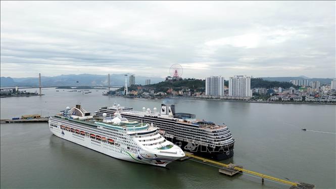 Hai tàu biển Westerdam và Star Voyager cập bến Cảng tàu khách quốc tế Hạ Long, tỉnh Quảng Ninh. Ảnh: Đức Hiếu - TTXVN