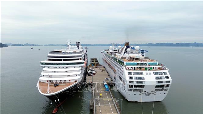 Hai tàu biển Westerdam và Star Voyager cập bến Cảng tàu khách quốc tế Hạ Long, tỉnh Quảng Ninh. Ảnh: Đức Hiếu - TTXVN