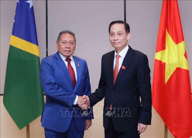 Minister of Foreign Affairs Le Hoai Trung and Solomon Islands Minister of Foreign Affairs and External Trade Peter Shanel Agovaka. VNA Photo: An Đăng