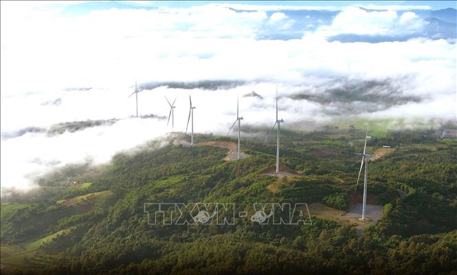 Theo Quy hoạch điện VIII và điều chỉnh Quy hoạch điện VIII, Quảng Trị được phân bổ 4.614 MW điện gió. Đến nay, 22 dự án đã vận hành thương mại với tổng công suất hơn 1.000 MW. Ảnh: Nguyên Linh-TTXVN