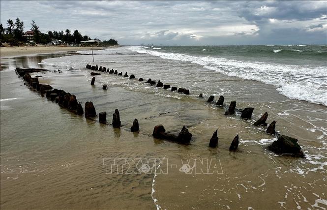 Phần khung gỗ con tàu nổi trên mặt cát. Ảnh: Trần Lê Lâm - TTXVN