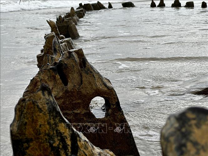 Tác động của thiên nhiên làm mòn các thân gỗ của tàu. Ảnh: Trần Lê Lâm - TTXVN