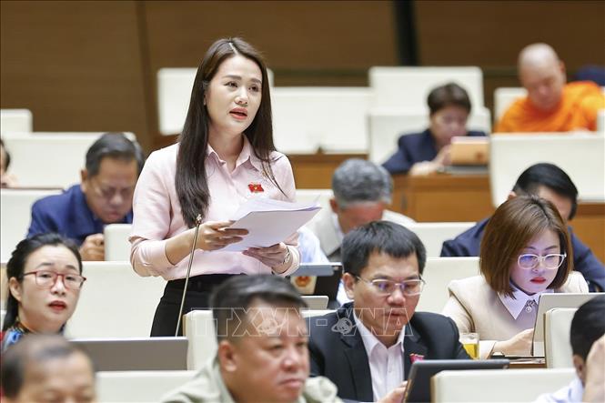 Đại biểu Quốc hội tỉnh Tuyên Quang Vương Thị Hương phát biểu. Ảnh: Doãn Tấn - TTXVN