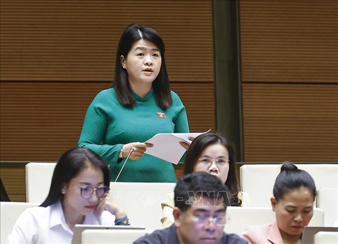 Đại biểu Quốc hội TP. Cần Thơ Phạm Thị Minh Huệ phát biểu. Ảnh: Doãn Tấn - TTXVN