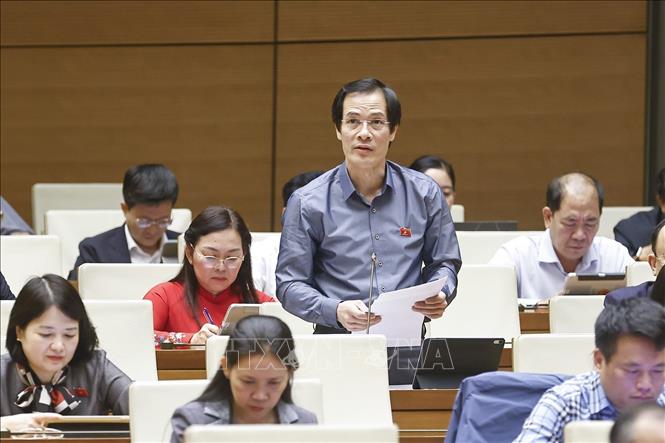 Đại biểu Quốc hội TP. Hải Phòng Bùi Sỹ Hoàn phát biểu. Ảnh: Doãn Tấn - TTXVN