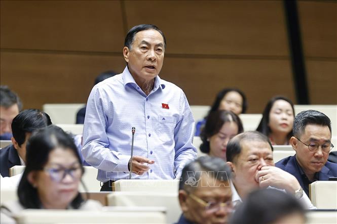 Đại biểu Quốc hội tỉnh Đồng Tháp Phạm Văn Hòa phát biểu. Ảnh: Doãn Tấn - TTXVN