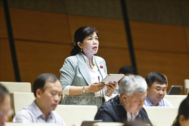 Đại biểu Quốc hội tỉnh Quảng Ninh Nguyễn Thị Thu Hà phát biểu. Ảnh: Doãn Tấn - TTXVN