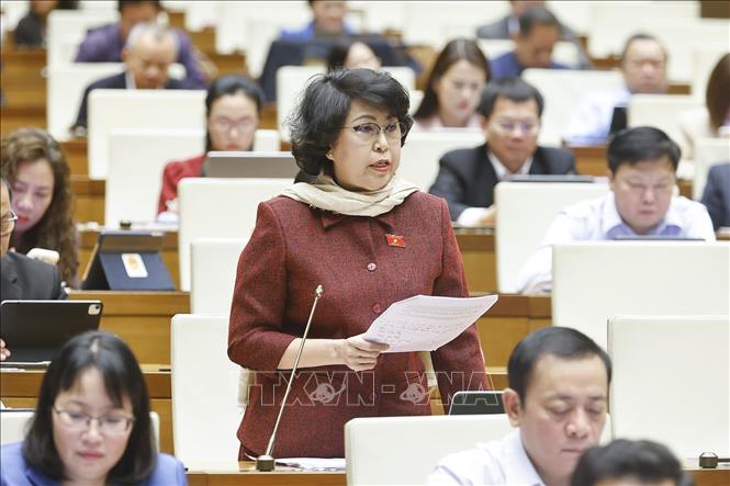 Đại biểu Quốc hội TP. Hồ Chí Minh Tô Thị Bích Châu phát biểu. Ảnh: Doãn Tấn - TTXVN