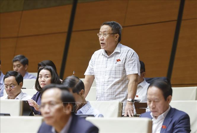 Đại biểu Quốc hội tỉnh Quảng Trị Hà Sỹ Đồng phát biểu. Ảnh: Doãn Tấn - TTXVN