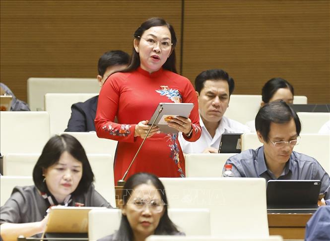 Đại biểu Quốc hội tỉnh An Giang Lý Anh Thư phát biểu. Ảnh: Doãn Tấn - TTXVN