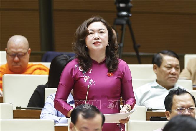 Đại biểu Quốc hội tỉnh Phú Thọ Đặng Bích Ngọc phát biểu. Ảnh: Doãn Tấn - TTXVN