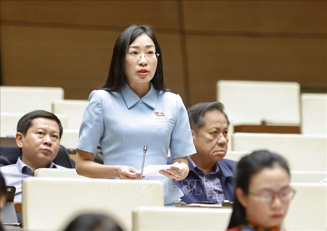 Đại biểu Quốc hội tỉnh Tây Ninh Hoàng Thị Thanh Thúy phát biểu. Ảnh: Doãn Tấn - TTXVN