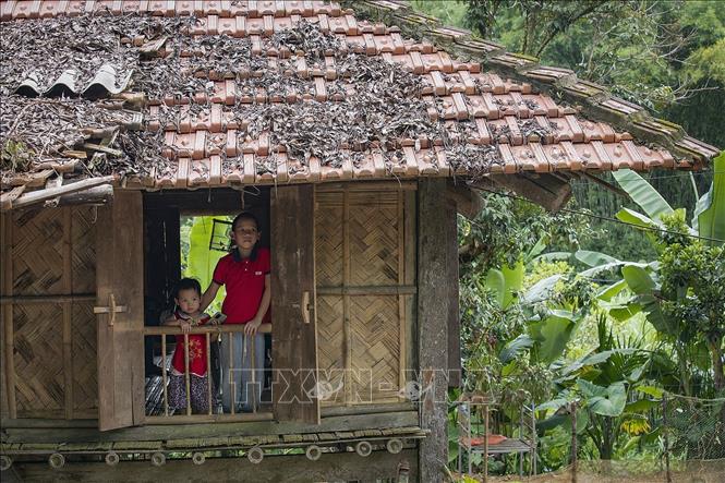 100% hộ dân xóm Lũy Ải sinh sống trong những căn nhà sàn truyền thống, những phong tục, tập quán và nét sinh hoạt hàng ngày vẫn được gìn giữ hầu như nguyên vẹn qua nhiều thế hệ. Ảnh: Trọng Đạt-TTXVN