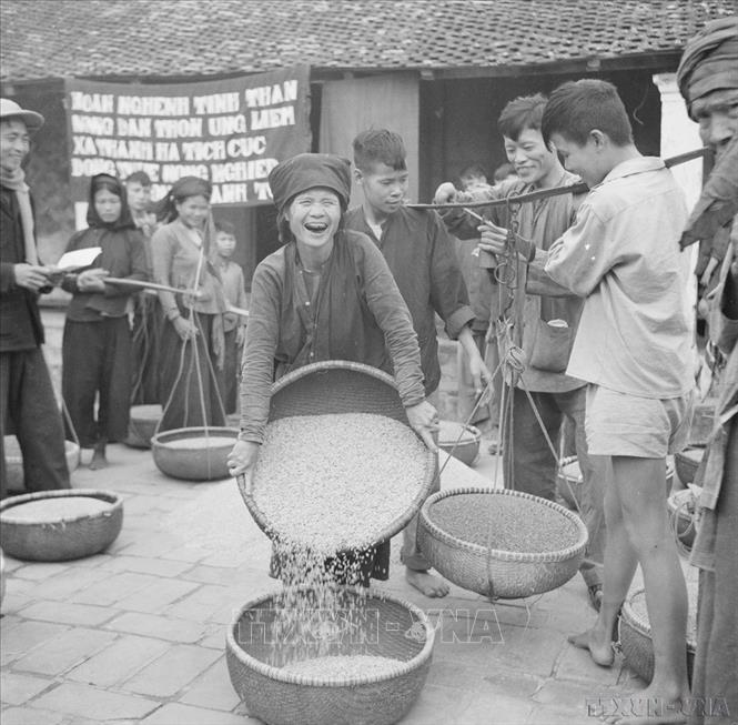 Công cuộc cải cách ruộng đất (1953-1956) ở miền Bắc là một bước ngoặt lớn, thực hiện khẩu hiệu “người cày có ruộng”, chấm dứt chế độ chiếm hữu đất phong kiến kéo dài hàng thế kỷ, thay đổi cấu trúc sở hữu và chuyển hóa quan hệ xã hội ở nông thôn, tạo nên động lực mới cho sản xuất nông nghiệp. Trong ảnh: Bà Ngô Thị Cang, cố nông sung sướng vì lúa năm nay được mùa và bà đang đóng góp vào thuế nông nghiệp (1956). Ảnh: TTXVN