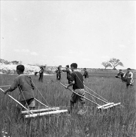 Ngay sau khi giành độc lập, Nhà nước Việt Nam Dân chủ Cộng hòa xác định quản lý tài nguyên và bảo vệ môi trường là nhiệm vụ trọng yếu, gắn liền với an sinh và đời sống nhân dân. Trong ảnh: Nông dân xã Tân Dân, huyện Kim Anh (Vĩnh Phúc) cải tiến kỹ thuật dùng bừa cỏ. Ảnh: TTXVN