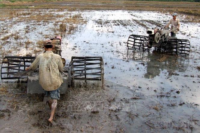 Nông nghiệp thông minh, chuyển đổi xanh, tuần hoàn, các-bon thấp và thích ứng khí hậu trong bối cảnh đổi mới đất nước lần thứ hai. Trong ảnh: Làm đất chuẩn bị xuống giống lúa tại Hậu Giang. Ảnh: Duy Khương – TTXVN