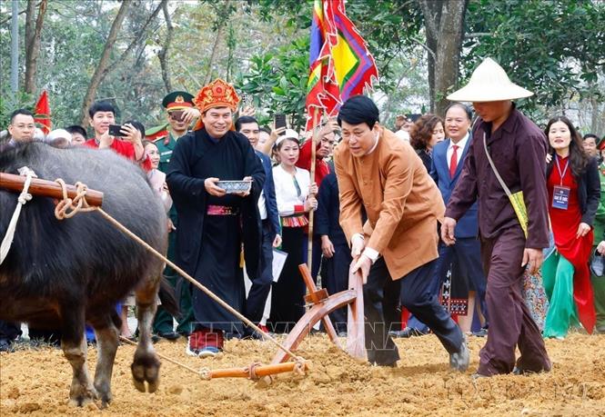 Chủ tịch nước Lương Cường thực hiện nghi thức mở xá cày đầu tiên trong Lễ xuống đồng của dân tộc Mường, tại Ngày hội 