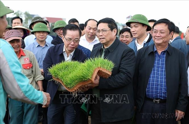  Thủ tướng Phạm Minh Chính đến thăm, động viên nông dân sản xuất vụ Đông Xuân tại tỉnh Hải Dương (15/2/2024). Ảnh: Dương Giang-TTXVN