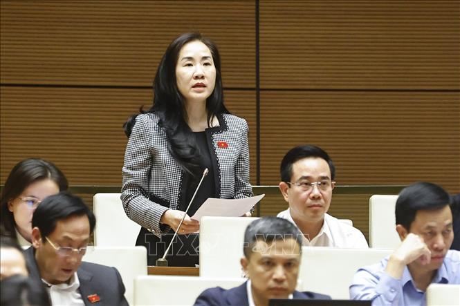 Đại biểu Quốc hội tỉnh Hưng Yên Đoàn Thị Thanh Mai phát biểu. Ảnh: Doãn Tấn - TTXVN