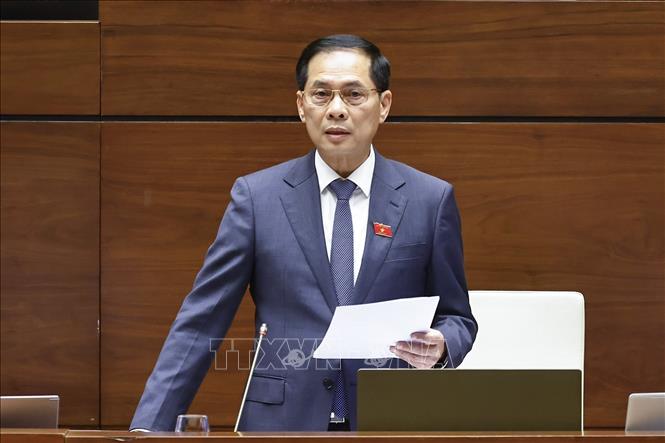 Phó Thủ tướng Bùi Thanh Sơn giải trình, làm rõ một số vấn đề đại biểu Quốc hội nêu. Ảnh: Doãn Tấn - TTXVN