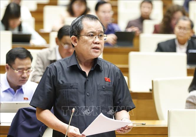 Đại biểu Quốc hội TP. Hồ Chí Minh Nguyễn Tâm Hùng phát biểu. Ảnh: Doãn Tấn - TTXVN