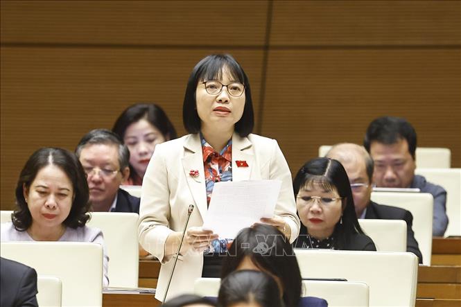 Đại biểu Quốc hội TP. Hải Phòng Nguyễn Thị Việt Nga phát biểu. Ảnh: Doãn Tấn - TTXVN