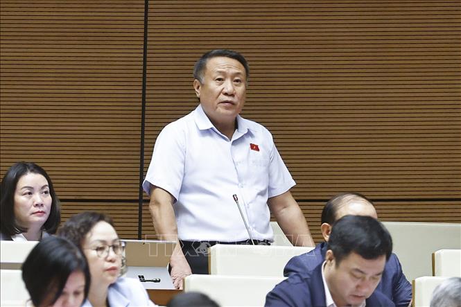 Đại biểu Quốc hội tỉnh Quảng Trị Hà Sỹ Đồng phát biểu. Ảnh: Doãn Tấn - TTXVN