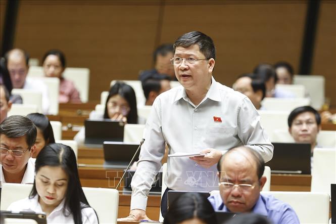 Đại biểu Quốc hội TP. Đà Nẵng Tạ Văn Hạ phát biểu. Ảnh: Doãn Tấn - TTXVN