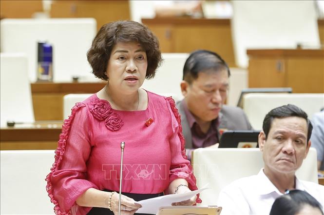 Đại biểu Quốc hội tỉnh Vĩnh Long Nguyễn Thị Lệ Thủy phát biểu. Ảnh: Doãn Tấn - TTXVN