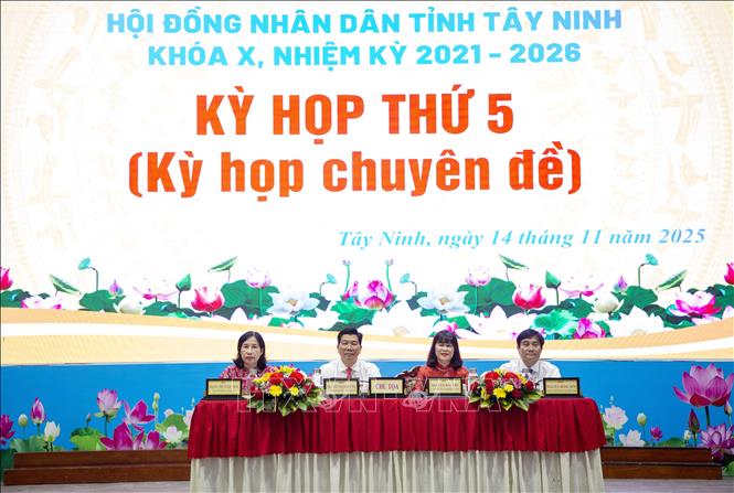 Chủ tọa kỳ họp. Ảnh: Giang Phương - TTXVN
