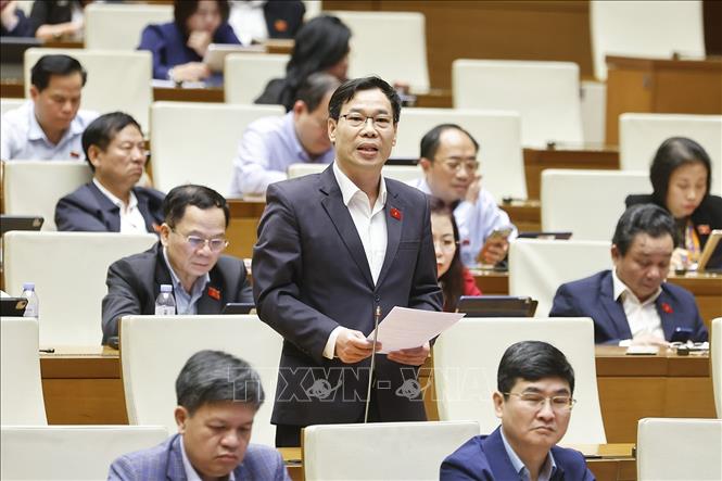 Đại biểu Quốc hội TP Hà Nội Đỗ Đức Hồng Hà phát biểu. Ảnh: Doãn Tấn - TTXVN
