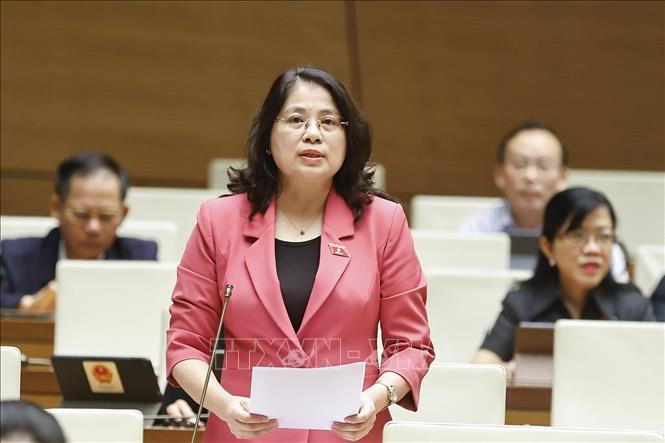 Đại biểu Quốc hội tỉnh Lâm Đồng Trần Hồng Nguyên phát biểu. Ảnh: Doãn Tấn - TTXVN