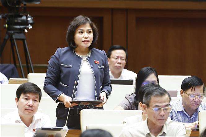 Đại biểu Quốc hội tỉnh Phú Thọ Thái Quỳnh Mai Dung phát biểu. Ảnh: Doãn Tấn - TTXVN