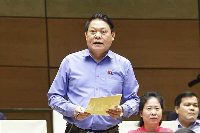 Đại biểu Quốc hội tỉnh Phú Thọ Nguyễn Thành Nam phát biểu. Ảnh: Doãn Tấn - TTXVN