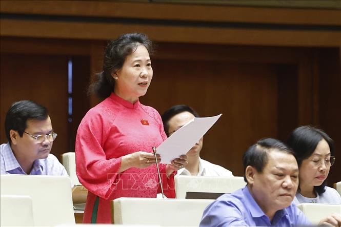 Đại biểu Quốc hội TP Cần Thơ Tô Ái Vang phát biểu. Ảnh: Doãn Tấn - TTXVN