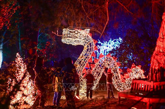 Lễ hội ánh sáng mang tên “Vườn thực vật kỳ ảo” đang diễn ra tại Vườn Bách thảo Đại học Warszawa ở Warsaw, Ba Lan. Du khách đến với Lễ hội sẽ được chiêm ngưỡng những tác phẩm điêu khắc được làm từ hàng triệu bóng đèn led xen lẫn với cây cối trong vườn, tạo nên cảnh tượng lung linh, huyền ảo. Ảnh: THX/TTXVN 