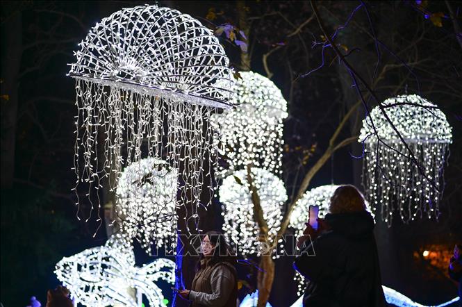 Lễ hội ánh sáng mang tên “Vườn thực vật kỳ ảo” đang diễn ra tại Vườn Bách thảo Đại học Warszawa ở Warsaw, Ba Lan. Du khách đến với Lễ hội sẽ được chiêm ngưỡng những tác phẩm điêu khắc được làm từ hàng triệu bóng đèn led xen lẫn với cây cối trong vườn, tạo nên cảnh tượng lung linh, huyền ảo. Ảnh: THX/TTXVN 