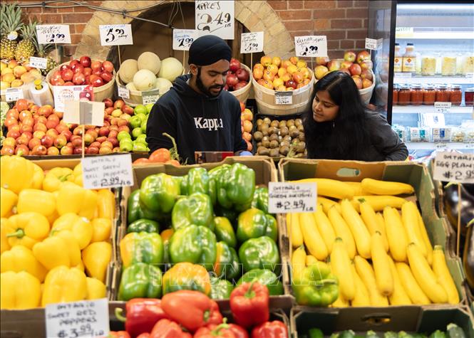 Thực phẩm được bày bán trong cửa hàng ở Toronto, Canada ngày 21/10/2025. Ảnh: THX/TTXVN