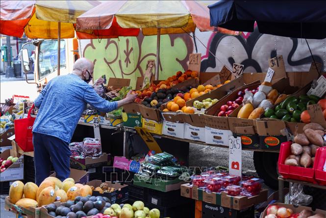 Thực phẩm được bày bán tại khu chợ ở New York, Mỹ ngày 12/8/2025. Ảnh: THX/TTXVN