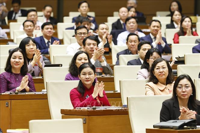 Delegates at the conference. VNA Photo: Doãn Tấn 