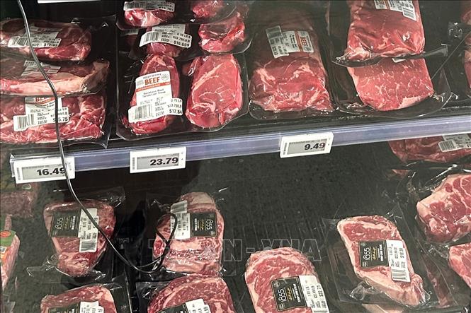 Thịt bò được bày bán tại một siêu thị ở trung tâm thủ đô Washington D.C. Ảnh: Ngọc Quang, PV TTXVN tại Mỹ.