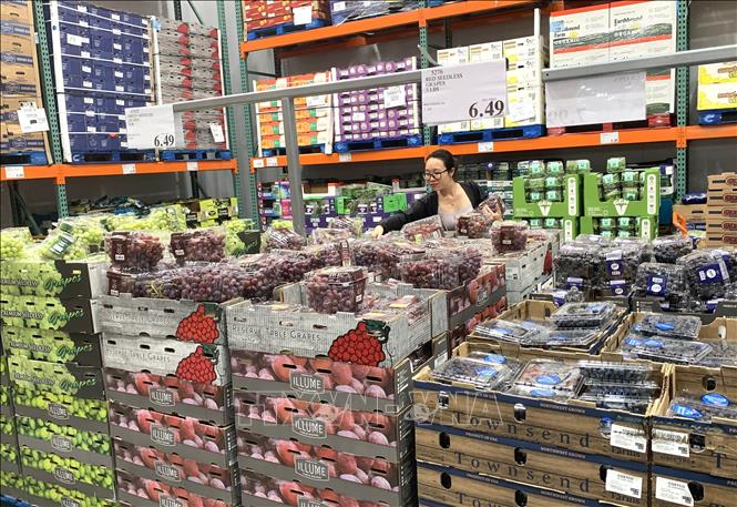 Trái cây được bày bán tại một siêu thị ở bang Maryland. Ảnh: Ngọc Quang, PV TTXVN tại Mỹ.
