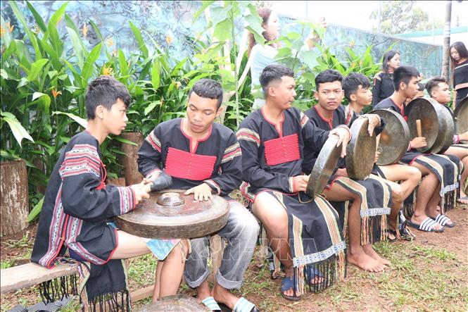 Young people at Tong Ju community tourism village (Ea Kao ward, Dak Lak province) play gongs. VNA Photo: Nguyen Dung