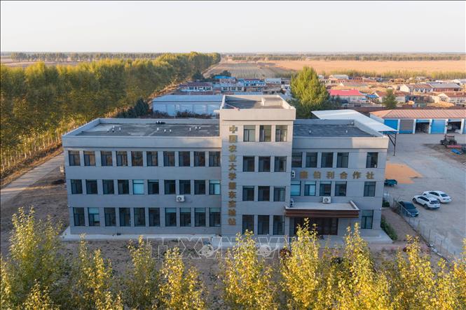 Một trường đại học ở tỉnh Hắc Long Giang, Trung Quốc. Ảnh: THX/TTXVN